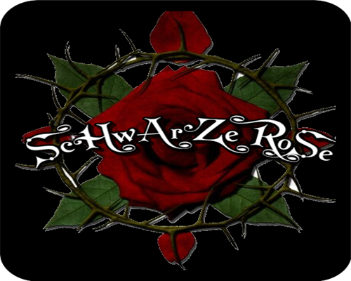 _Schwarze_Rose_