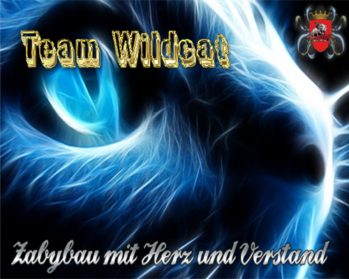 Team Wildcat