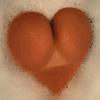 xX Z Xx