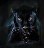 Pantherweib