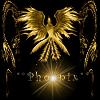Night_Phoenix