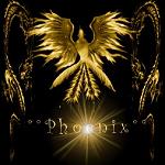 Night_Phoenix