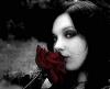 _Lobelia_LsZ