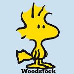 Woodstock_SCF