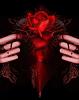 Mysterys_Floc