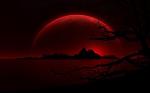 _Nightlady_