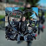 Fly_DeMedici