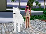 SexyLady_TheCrew