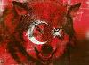 X_serkan_wolf