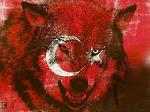 X_serkan_wolf_X