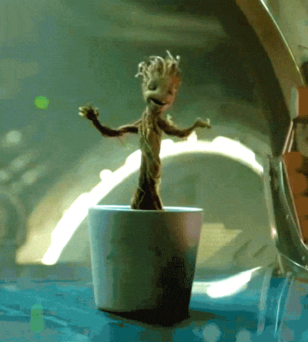 __GROOT__
