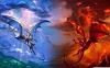 White_Dragon