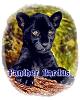 Panther_Pardu