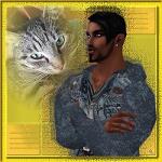 catdad_wildcat