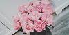 Loreen_Goldwe