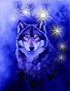 Nicki_Lanza