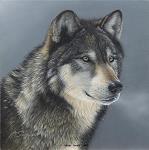 Wolfi_Wolfblood