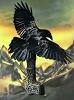 Mr_Van_Raven