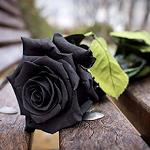 Master_De_Sade