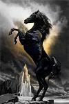XBlackMustangX
