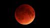 Sir_Red_Moon