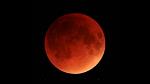 Sir_Red_Moon