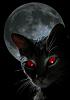 Catiii_BlackC