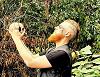 Noah_Thirteen