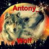 Antony_Wolf