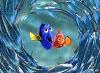 Sonne_Nemo_So