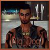 BigDog_Drache