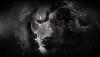 The_BlackLion
