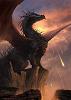 Draco_Blackso