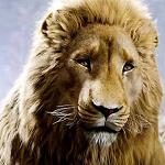 Aslan_Davidson