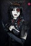 Neve_van_Dash