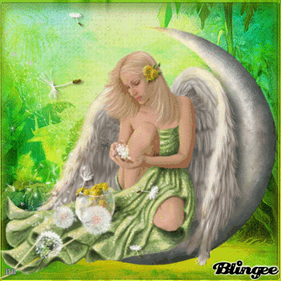 Fee_Lanza
