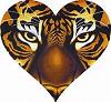 Amare_Tigerhe