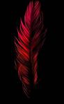 Mianka_Darkside