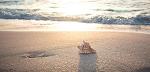 EndlessSummer
