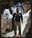 Robin_BlackRider