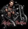 Harley_Davids
