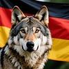 Frohsi_WolfBl