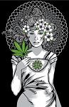 Marie_Juana