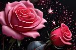 Rosenlover