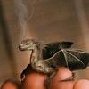 little_Dragon